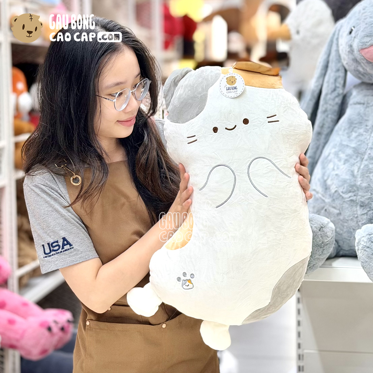 Mèo Bông Tam Thể MIA lông mịn