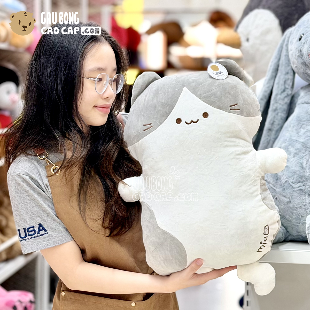 Mèo Bông Xám MIA lông mịn