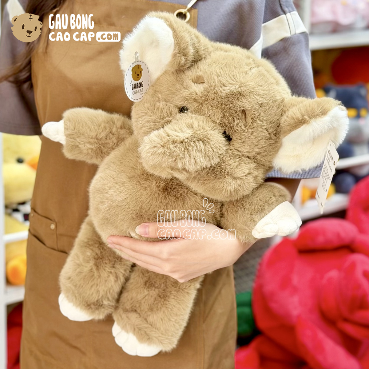 Voi Bông Baby biết chạy