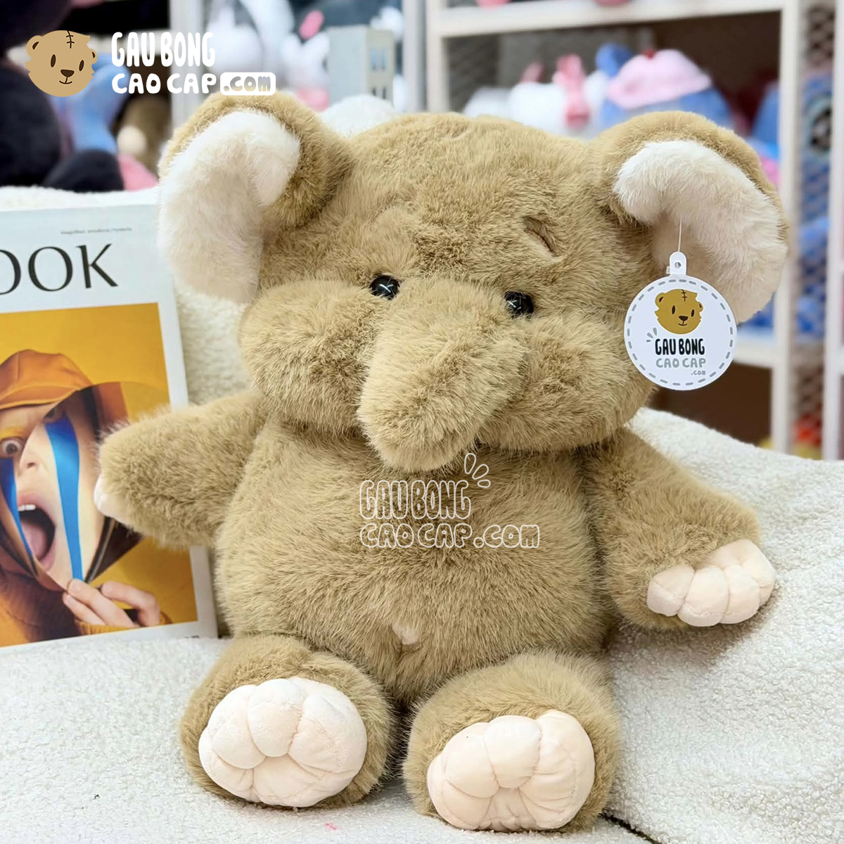 Voi Bông Baby biết chạy