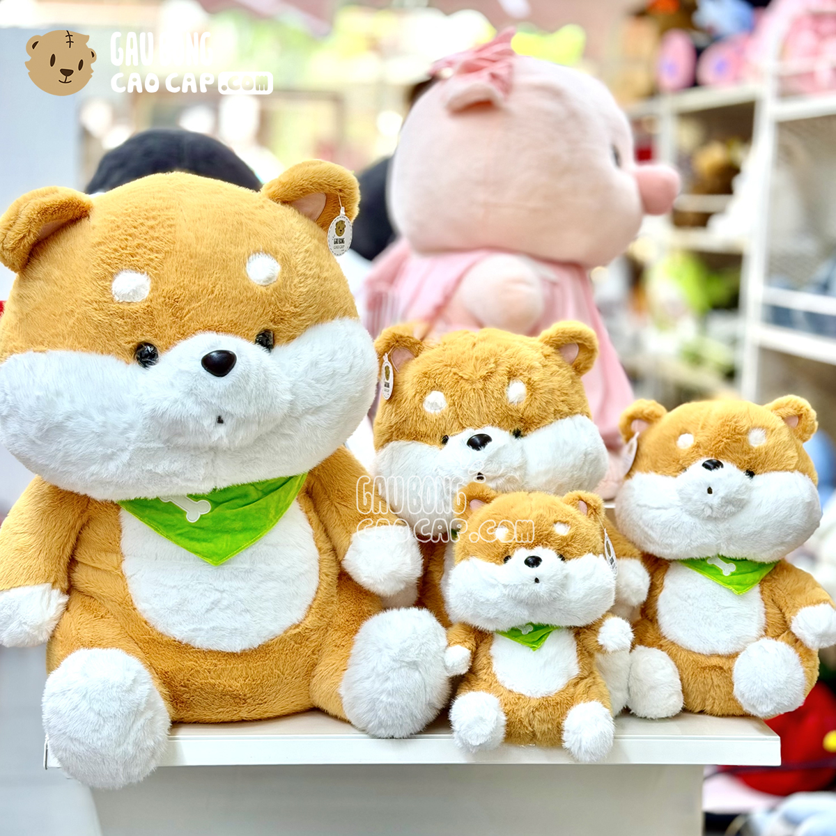 Chó Bông Shiba baby ngồi