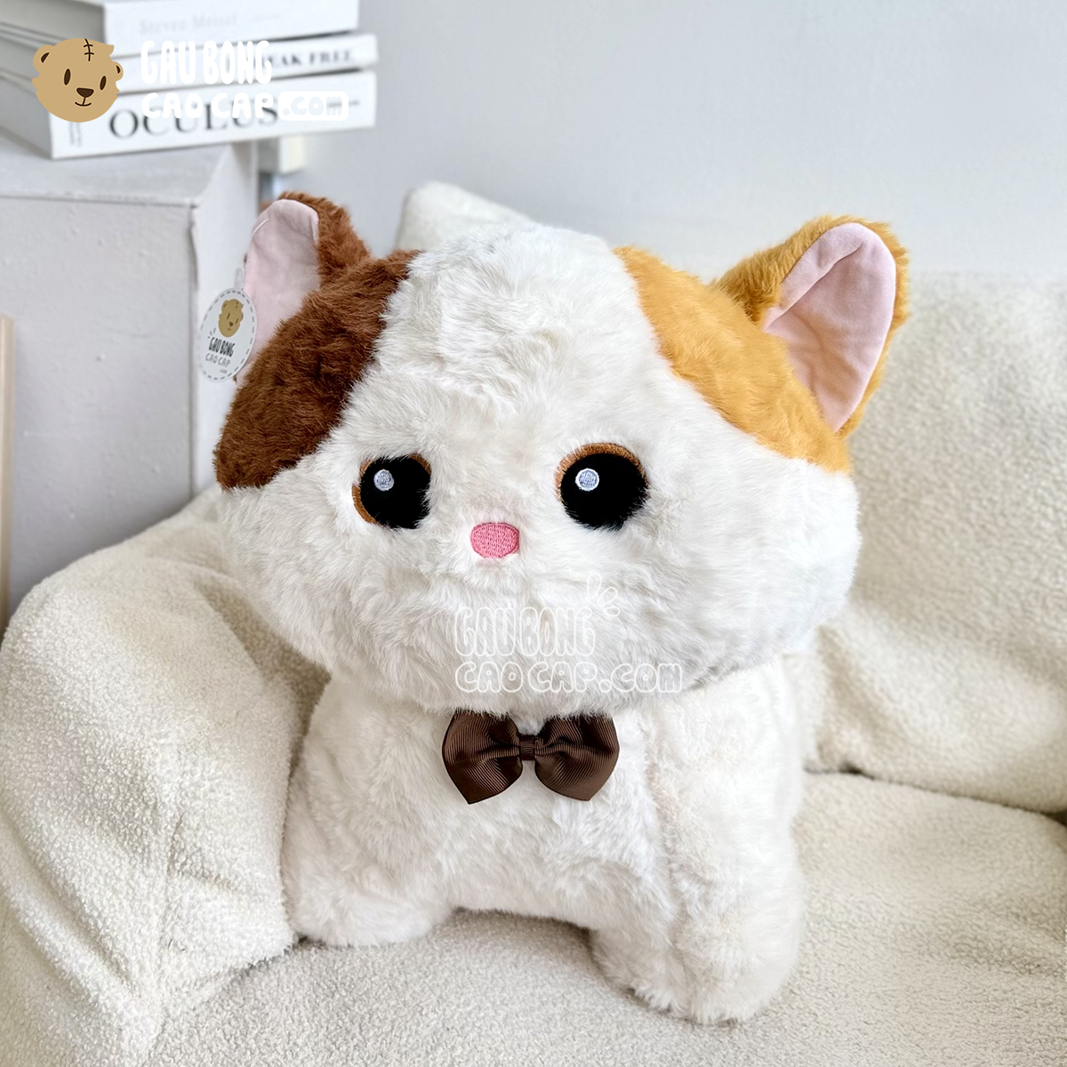 Mèo Bông Tam Thể Đứng Little Kitten 