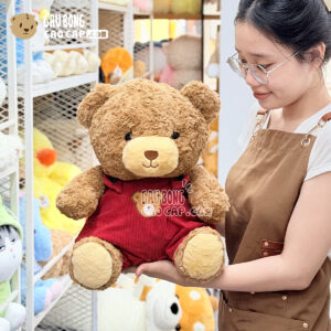Gấu Teddy nâu mặc yếm nhung đỏ
