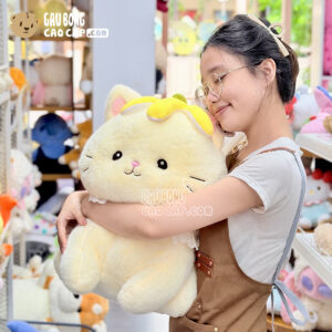 Mèo Bông vàng Đội Chuối Chubby Kitten