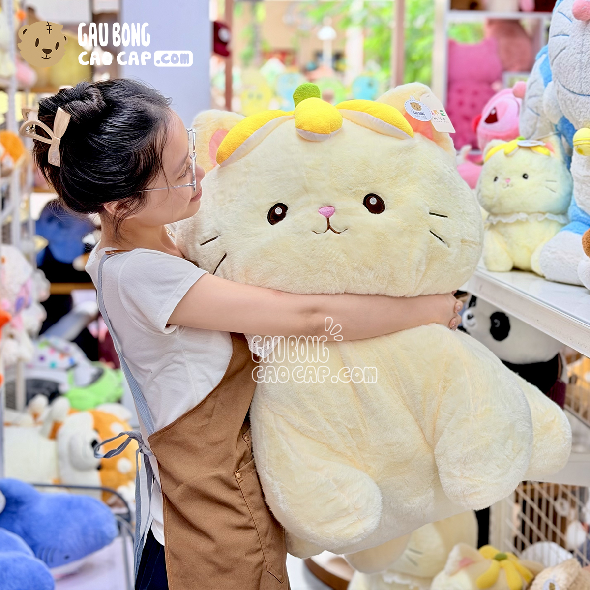 Mèo Bông vàng Đội Chuối Chubby Kitten