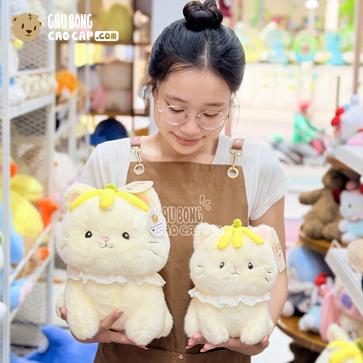 Mèo Bông vàng Đội Chuối Chubby Kitten